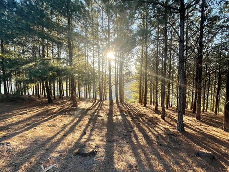 Rolê Primitivo em Piraí do Sul: Por dentro das entranhas da Serra