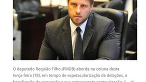 Político: afinal, que bicho é esse?