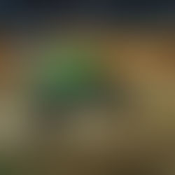 Hot Wheels Monster Trucks Live™ chega a Curitiba pela primeira vez com o novo caminhão: Rhinomite