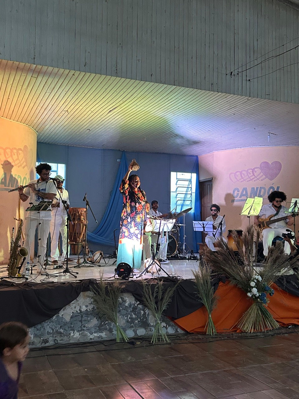 Show Terrosa Regiane Fonseca
