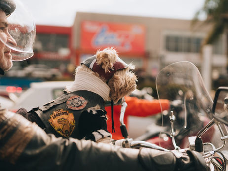 Festival Rota 01 prepara grande edição para o mês de julho, em Ponta Grossa