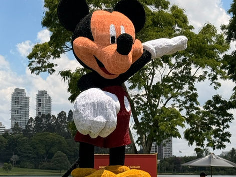 Magia Disney promete muito encantamento e diversão no Natal de Curitiba