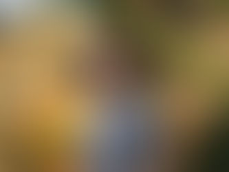 Ex-baixista da Banda Gentileza lança trabalho solo neste sábado (06), em local secreto