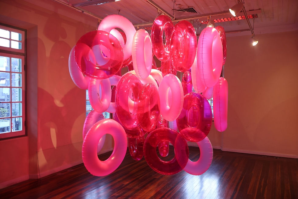 Croma de Roberta Tassinari na Fundação Cultural Badesc. crédito Acervo Fundação Cultural Badesc.jpg