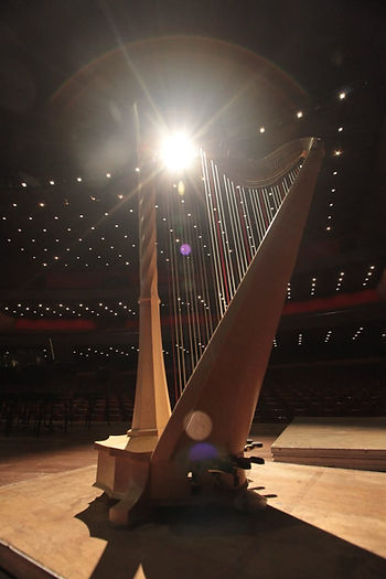 Harpa de marca italiana chega à Orquestra Sinfônica do Paraná | Foto: Anderson Tozato