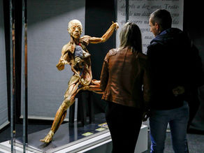 Chega a Curitiba a exposição internacional “HUMAN BODIES – Maravilhas do Corpo Humano”