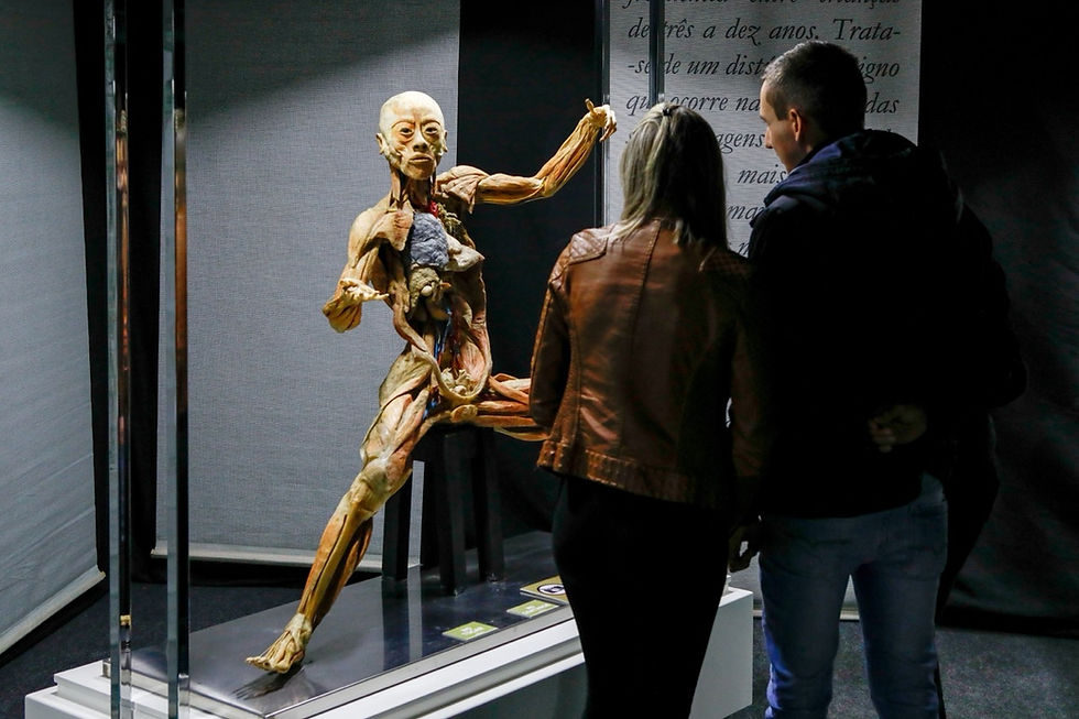 Chega a Curitiba a exposição internacional “HUMAN BODIES – Maravilhas do Corpo Humano”