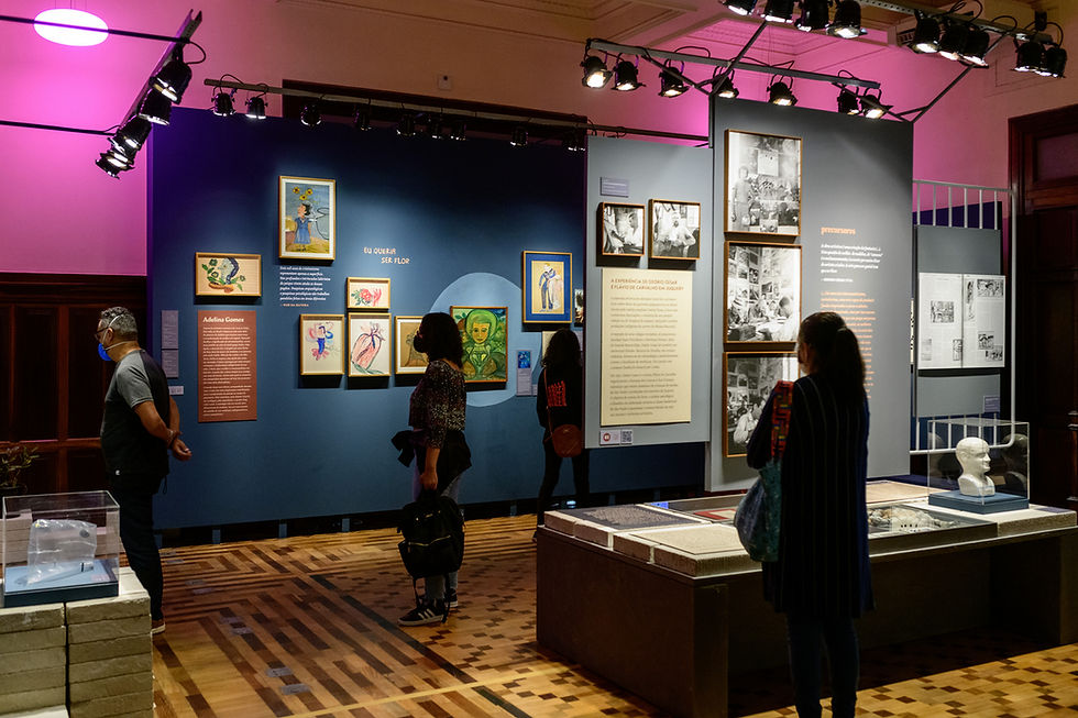 Curitiba recebe a mostra "Nise da Silveira, A Revolução pelo Afeto"