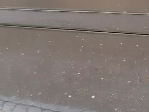 Schaufensterreinigung in Basel-Stadt