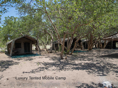 BOTSWANA - Back to Back Safaris -