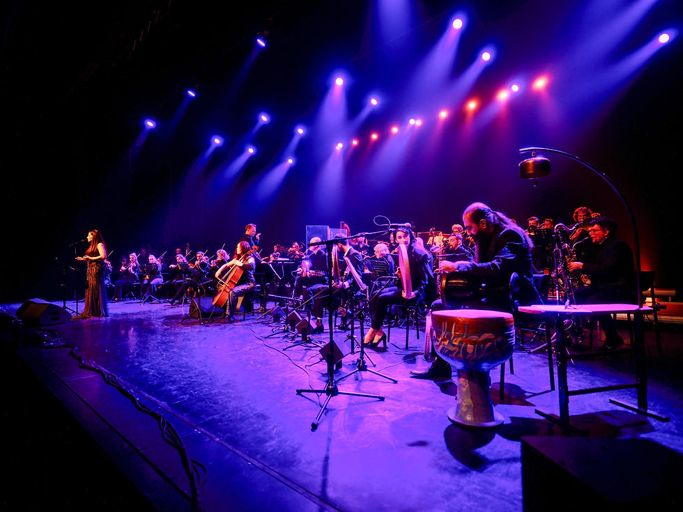 NOORDPOOL ORKEST