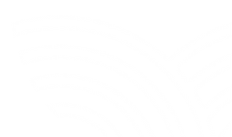 lines_edited.png