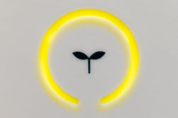 s-tsuchiya-gxIg8FcDIC8-unsplash