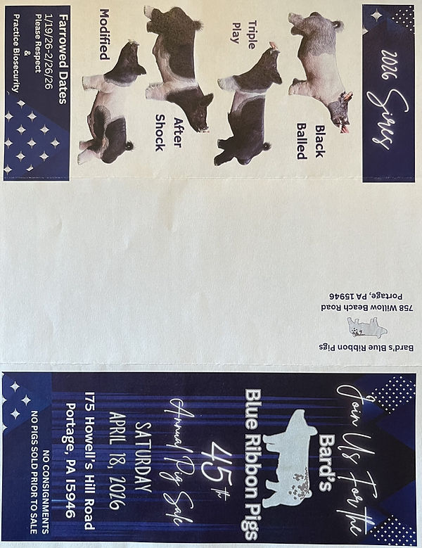 Bard Swine Front.jpg