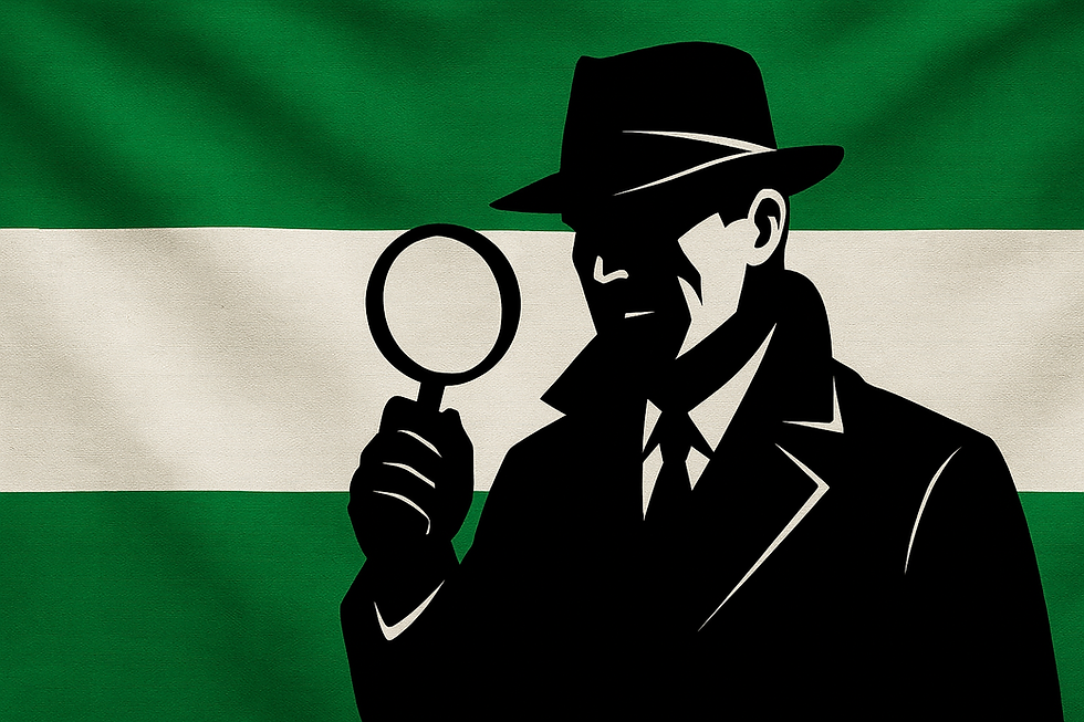 La creación del Colegio Oficial de Detectives Privados de Andalucía: un punto de inflexión institucional para el sector