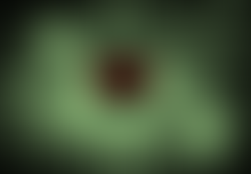 De la Información a la Inteligencia. El Internet del Internet. OSINT