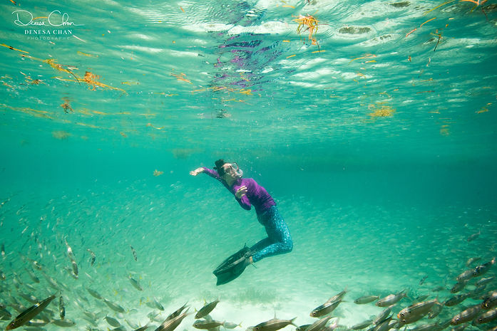 Loggerhead_Key_Denesa_Chan_Swimming_with