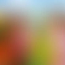 Keeping Your Little Monster’s Teeth Healthy This Halloween