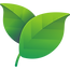 leaf.png