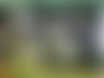 Eco Church: Thinking about a Green Christmas