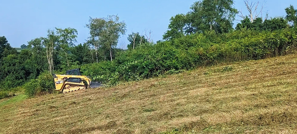 CAT track loader clearing a hillside in Delmont, PA for site preparation by Skowronek Landscaping & Excavating.