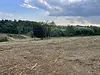Completed land clearing project in Westmoreland County, PA, showcasing open acreage after mulching and brush removal.