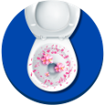 Picture2.png