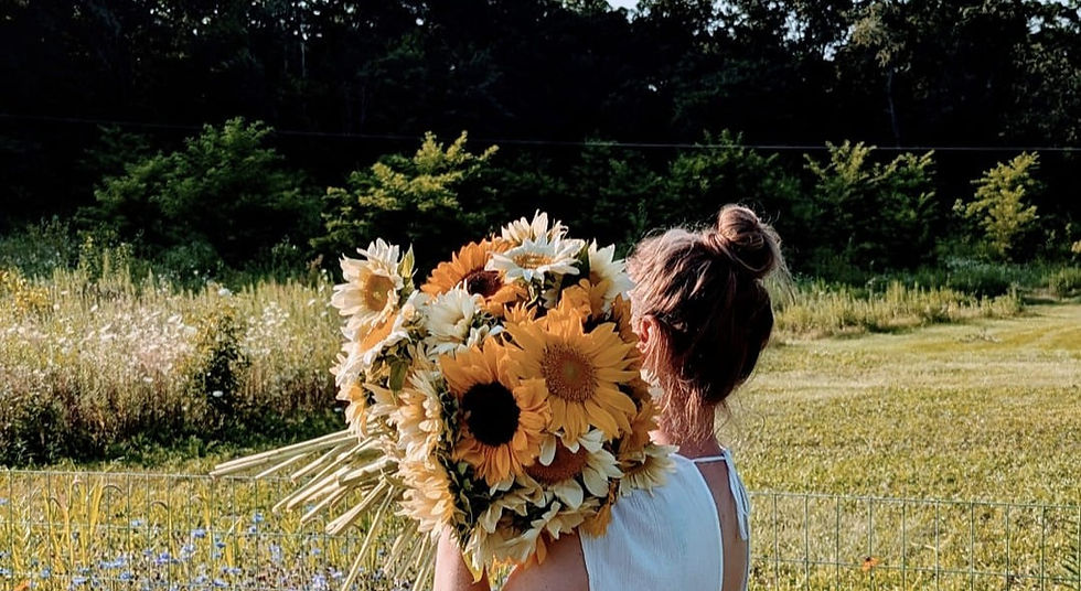 LMF sunflowers.jpg