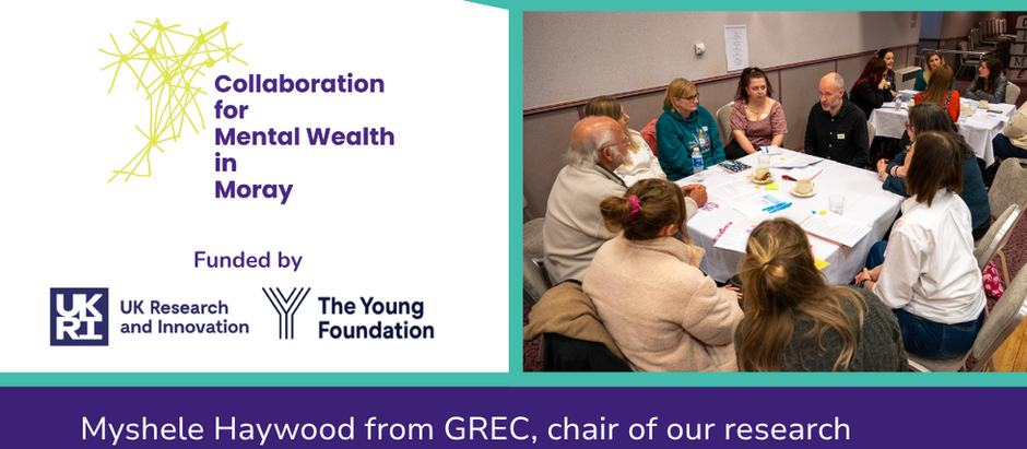RESEARCH JIGSAW: Access the Collaboration for Mental Wealth Research Themes Resource