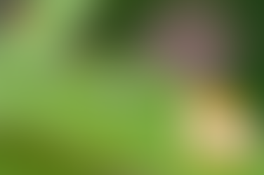 프로코밀파우더, 아무 말 없이도 가까워지던 순간