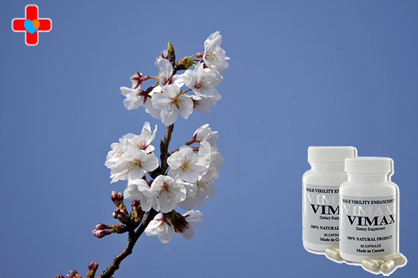 비맥스 골드 정, 혼자라고 느낄 때 자존감은 왜 무너지는가