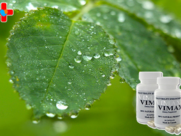 비맥스 메타 정, 다시 설레기 시작한 우리의 온도