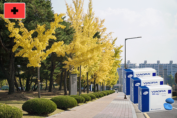 비아그라효능 - 발기부전, 자존감 회복의 핵심 지점