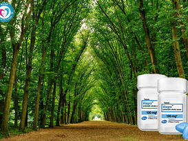 인천비아그라파는곳, 밤이 달라지는 순간 이미 시작된다