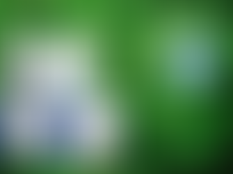 사랑의 동반자, 비아그라와 함께하세요