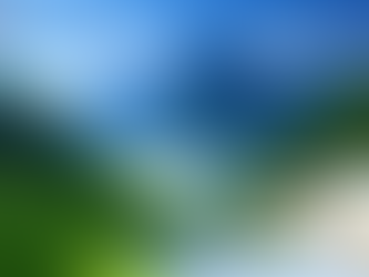 시알리스 구입처, 자존감 회복이 시작되는 조용한 전환점