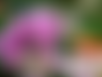 외로움이 남기는 조용한 흔적들, 레비트라구입의 용기