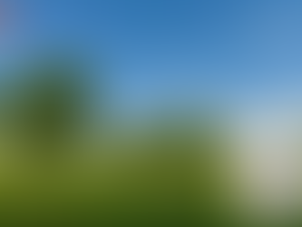 아무도 알려주지 않던 진실, 레비트라처방전의 핵심