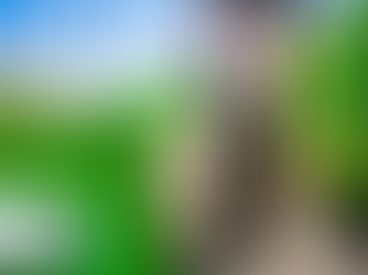 사랑의 완벽한 순간 – 비아그라가 함께합니다