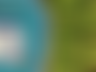 사랑이 다시 피어나다, 비아맥스와 함께