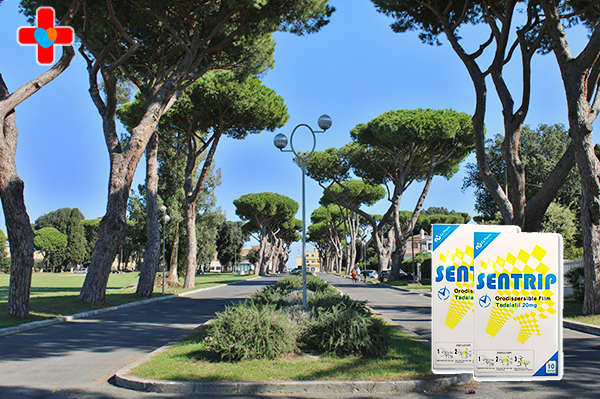 센트립 구매후기, 잊고 지냈던 감정의 시작점