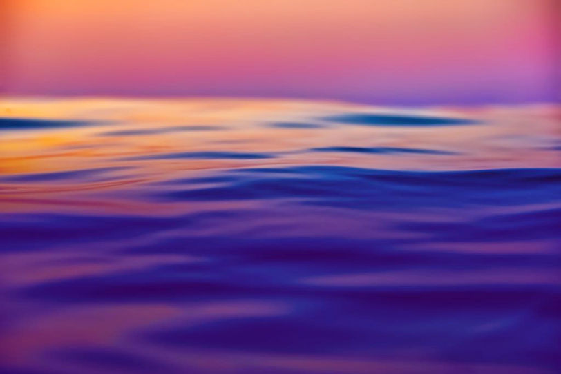 Purpley banner_edited.jpg