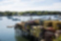Southwest Harbor_12.jpg