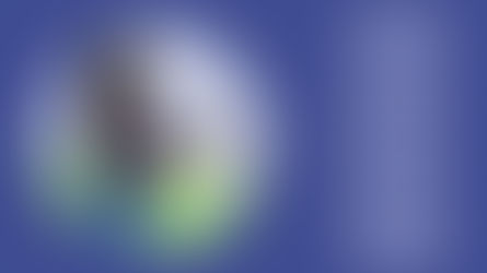 Reporting an Air Accident or Serious Incident