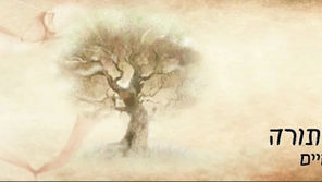 The Inner Dimension of Torah