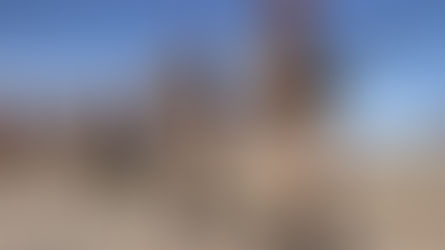 Joint Statement on Afghanistan