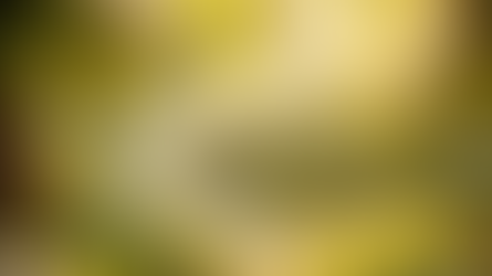 The Vines in Blossom Give off Fragrance