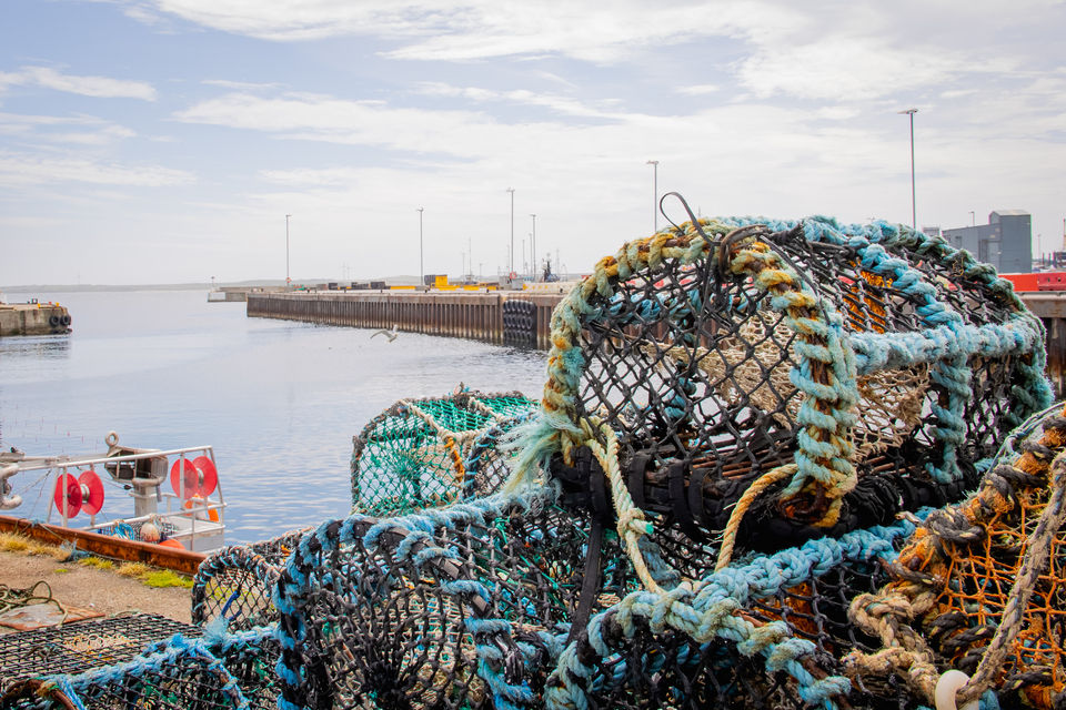 Major Changes Coming for the £1bn Scottish Seafood Exporting Industry