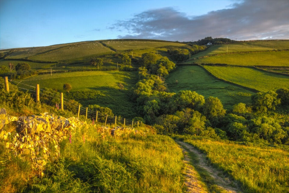 Countryside Stewardship Extended to Support Farming and Nature
