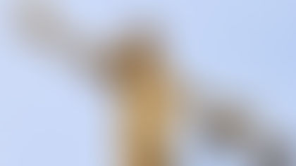 Senior Barristers to Support Government on Strategic Public Cases